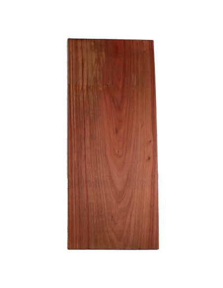 Macacauba Classic / Acoustic Guitar Single Back