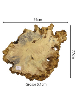 Slab Table Buckeye Burl Nº7