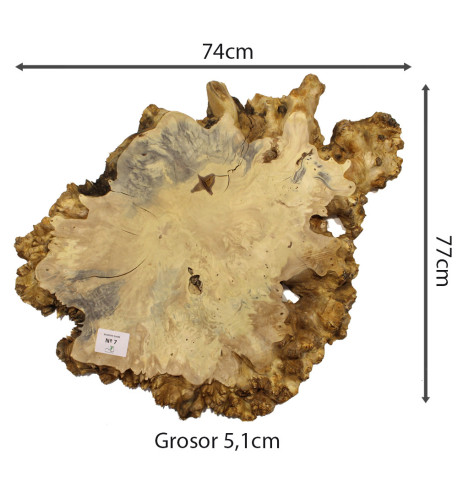 Slab Table Buckeye Burl Nº7