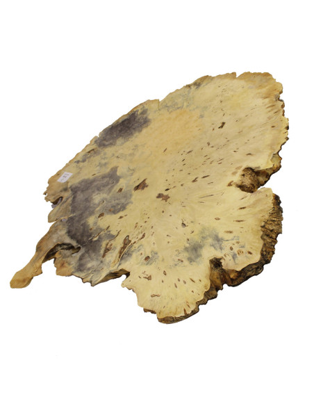 Slab Table Buckeye Burl Nº8