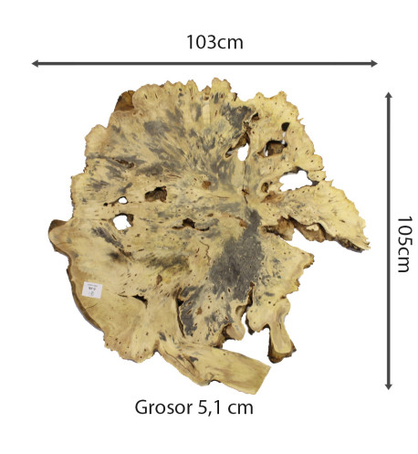 Slab Table Buckeye Burl Nº9