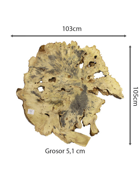 Slab Table Buckeye Burl Nº9