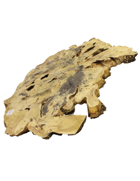 Slab Table Buckeye Burl Nº9