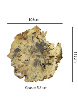 Slab Table Buckeye Burl Nº10