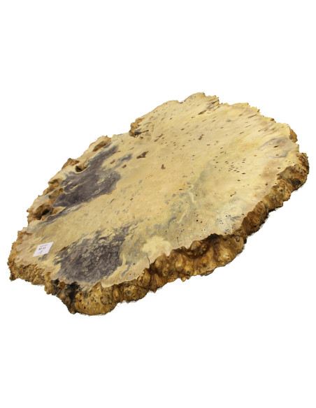 Pieza Lupa Buckeye para Mesa Nº11