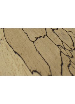 Restos Haya Spalted