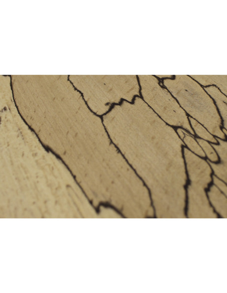 Spalted Beech Leftovers