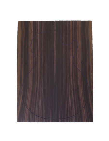 Indian Rosewood Bass / Electric Guitar Carved Top