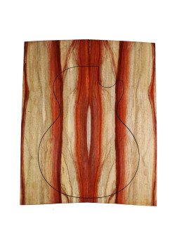 Padauk Bariolé Body Bass / Electric Guitar | Buy