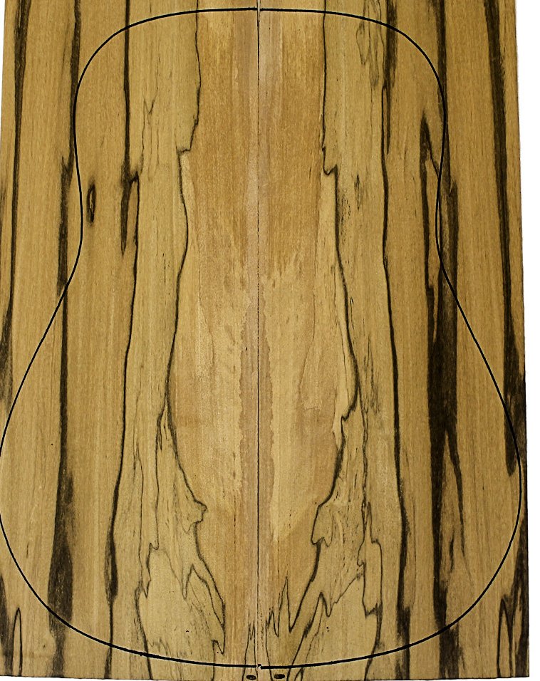 fonds brown ebony Guitare Acoustique