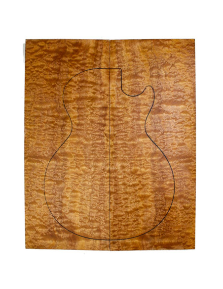 AAA Body Top Sapele Quilted Bass / Electric Guitar | Buy