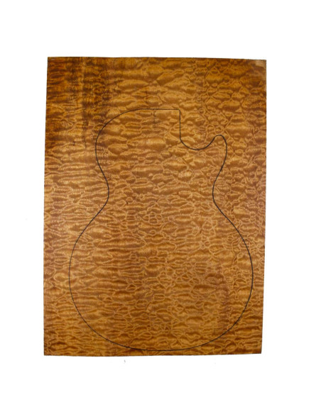 Cuerpo 1 pieza Sapelli Pomele Master Guitarra / Bajo Eléctrico | |