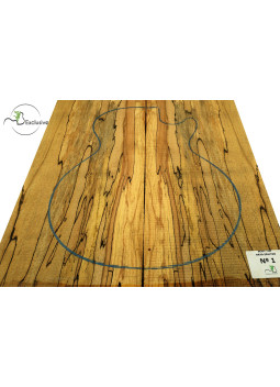 Tapa Cuerpo Haya Spalted Nº1