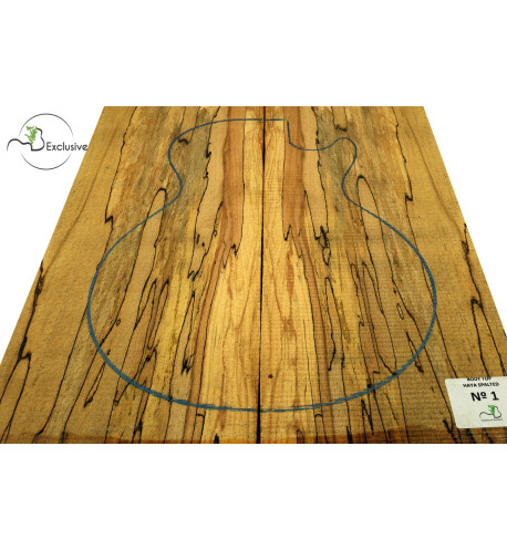 Body Top Spalted Beech Nº1