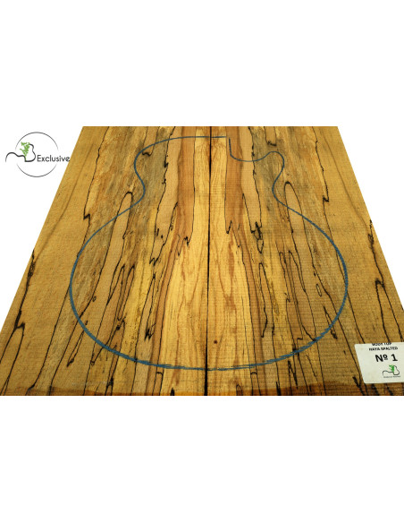 Body Top Spalted Beech Nº1