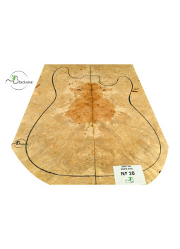 MB Exclusive Big Leaf Maple Burl Drop Nº 10
