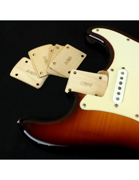 Cale pour manche boulonné de Guitare
