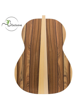 Buy Santos Rosewood Finished Classical Guitar Back MB Exclusive