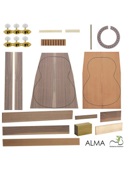 classic guitar kit model alma