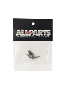 Guide cordes Nickel Vieilli Allparts
