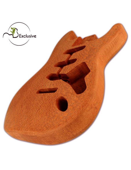 Cuerpo Brazilian Lacewood Acabado Guitarra Eléctrica Estilo