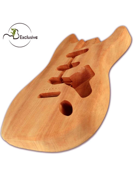 blank guitar bodies