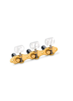 clavijero schaller