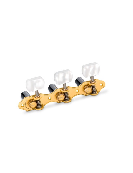 clavijero schaller
