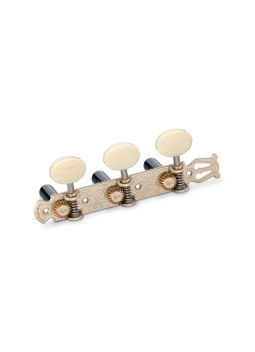 clavijero schaller