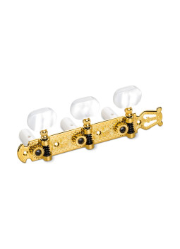 clavijeros schaller