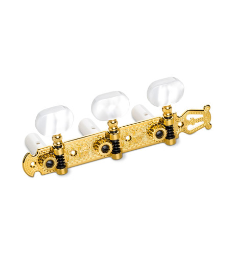 clavijeros schaller
