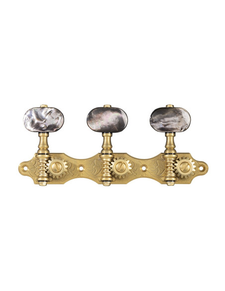 clavijeros Gotoh