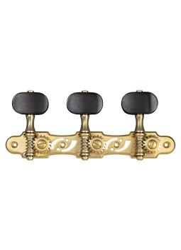 clavijeros Gotoh