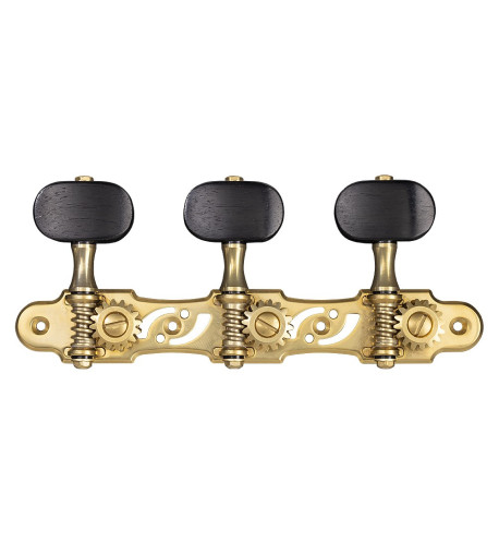 clavijeros Gotoh