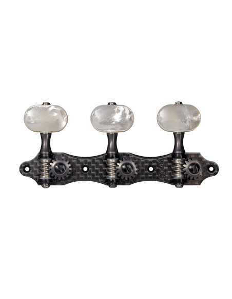 clavijeros Gotoh