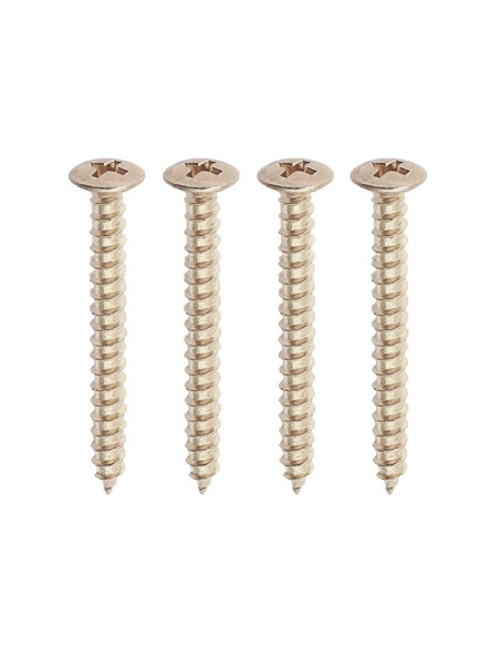 Neckplate Screws Nickel