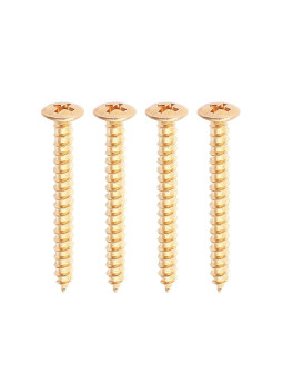 Tornillos Mástil Oro guitarra