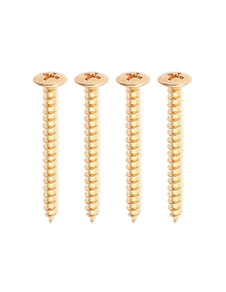 Tornillos Mástil Oro guitarra