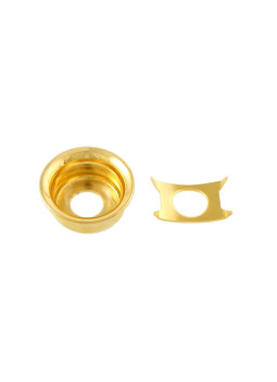20 Vis pour plaque de protection en Nickel Vieilli AllPacks Standard