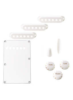20 Vis pour plaque de protection en Nickel Vieilli AllPacks Standard