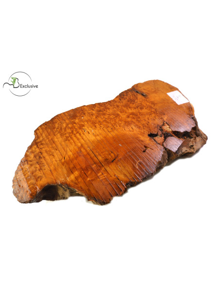 Thuya Burl Nº 1 | Maderas Barber