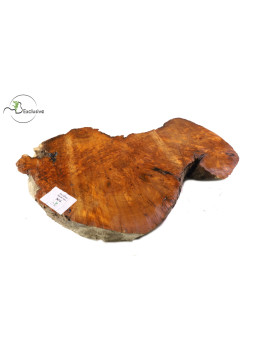 Thuya Burl MB Exclusive Nº4