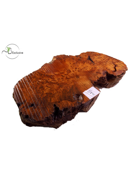 Thuya Burl Nº 6 | Maderas Barber