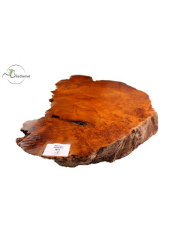 Thuya Burl MB Exclusive Nº7