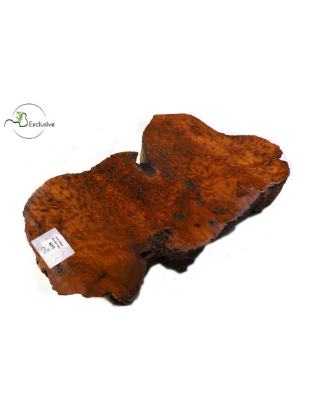 Thuya Burl MB Exclusive Nº9