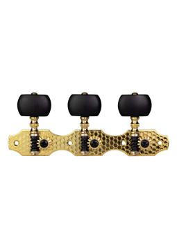 Clavijero Der Jung DJ206GK-AE-S3