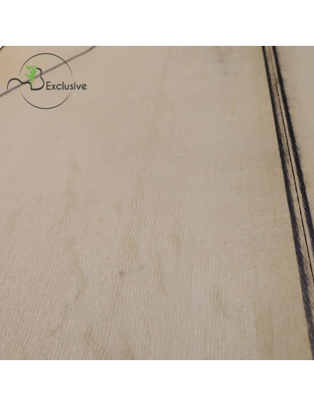 MB Exclusive Bearclaw Engelmann Spruce Classical Guitar Tops Nº 12