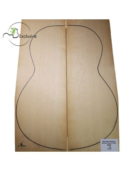 MB Exclusive Bearclaw Engelmann Spruce Classical Guitar Tops Nº 22