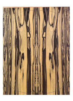 Pale Moon 4 pcs + Bryna Plywood Acoustic Guitar Backs | Maderas Barber