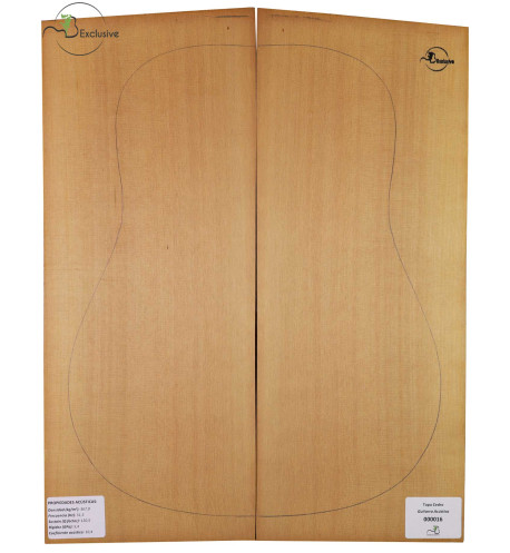 Red Cedar Classical Guitar Top MB Exclusive Nº 000016